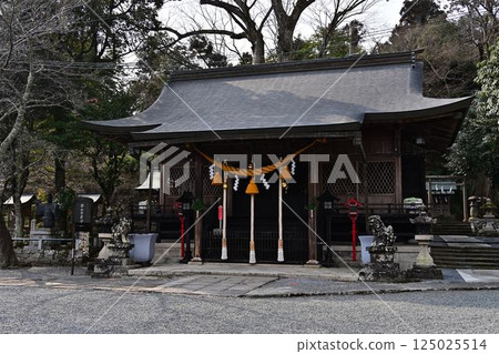 From Kasuga Shrine in Kurooka 125025514