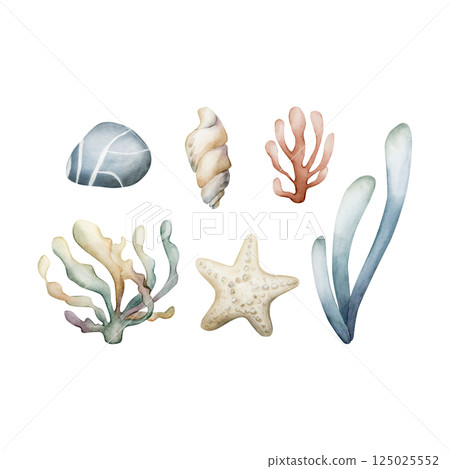 Seaweed Algae Sea Coral Sponge Starfish Shell Pebble. Cute ocean underwater plants and animals set. Watercolor hand painted illustration isolated on white background kids nursery undersea baby shower 125025552