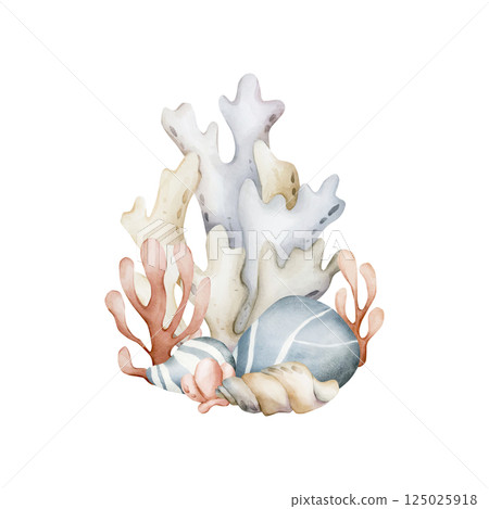 Seaweed Algae Sea Shell Coral Sponge Pebbles. Cute marine underwater ocean plants and animals. Watercolor hand painted isolated illustration for kids nursery wall sticker baby shower undersea design 125025918