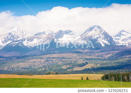 tatra mountain landscape in spring. scenic nature of europe for travel. slovakia countryside scenery with snow on the peak. beautiful alpine view with blue sky and cloud for tourism 125026251