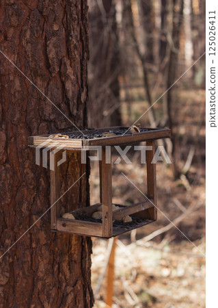 Wooden bird feeder on a pine tree branch in a spring or autumn park filled with sunflower seeds and bread 125026411