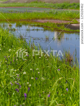 An old tennis court on a flooded riverbed An old tennis court on a flooded riverbed 125026462