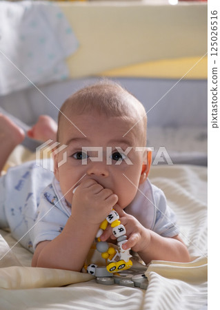 Happy Baby Playing with Toys on a Blanket Happy Baby Playing with Toys on a Blanket 125026516