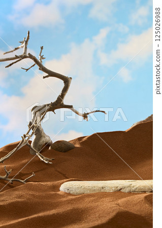 Stone pedestal placed on a sand, the stone slab is partly covered. The dead tree has its roots buried in high sand dunes, the trunk consists of small, spindly branches and sharp thorns. 125026988