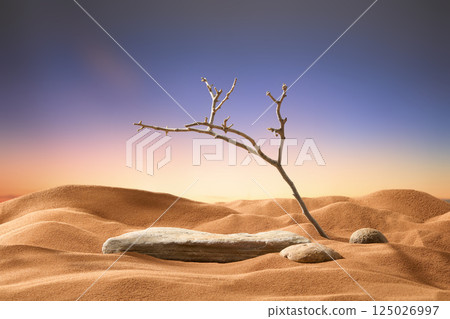 Flat stone slabs like a surface for placing advertising products next to rough and pockmarked rocks. Tree branches with many sharp thorns, dried by the sunlight, deeply rooted in the fine sand.  125026997