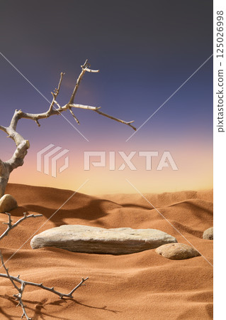 The branches have no leaves, only hard and dry trunks remain. The shadows of branches fall on the sand. A stone slab and some round rocks placed on the dry sand. Sky background with mixed colors.  125026998