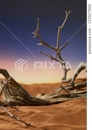 Arid wood covered with sharp thorns. The trunks of trees twisted into various shapes. Sand formed an uneven surface and undulating dunes. Sunset sky had a gradient from deep purple to bright pink. 125027008