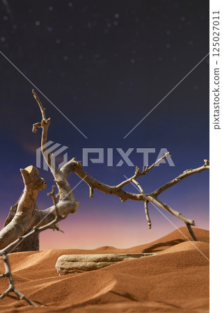 Dry tree grow in the desert with twisted trunks, spindly branches, and sharp thorns. The bark is gray with many black spots. A rectangular slab of rock with rough edges and partly covered with sand. Dry tree grow in the desert with twisted trunks, spindly branches, and sharp thorns. The bark is gray with many black spots. A rectangular slab of rock with rough edges and partly covered with sand. 125027011