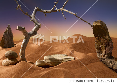 Tree trunk with rough bark stands upright in a sandy desert. Branches with thorny branches point upwards. Pebbles are scattered around the base of the tree. A stone slab is placed in a sand pit.  125027013