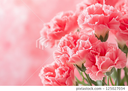 Mother's Day carnation background material 125027034