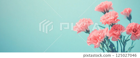 Mother's Day carnation background material 125027046