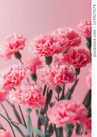 Mother's Day carnation background material Mother's Day carnation background material 125027074