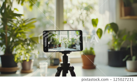 Smartphone on Tripod Capturing Indoor Green Plants in Natural Light 125027231
