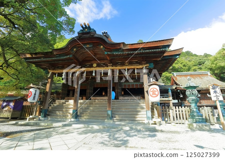 [Kagawa Prefecture] Spring at Kotohira Shrine (Main Shrine Worship Hall and Main Hall) 125027399
