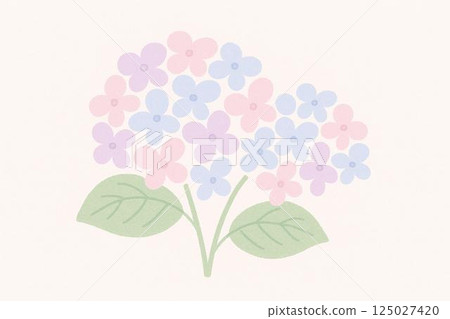 繡球花圖 繡球花圖 125027420