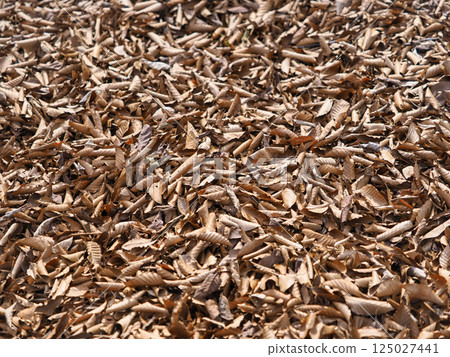 Brown fallen leaves 125027441
