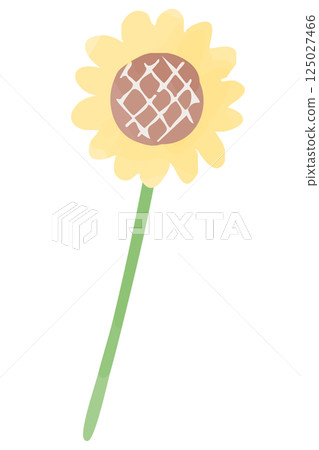 一朵向日葵的插圖-手繪水彩插圖 125027466