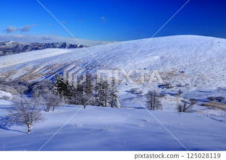 車山沼澤的霧凇 125028119