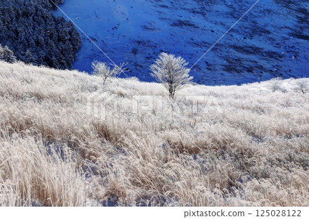 Kirigamine in the harsh winter 125028122