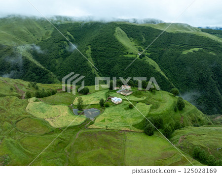 Aerial view of beautiful high altitude forest grassland mountain landscape 125028169