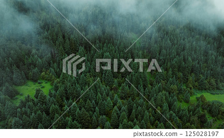 Aerial view of forest and grassland landscape in fog and rain 125028197