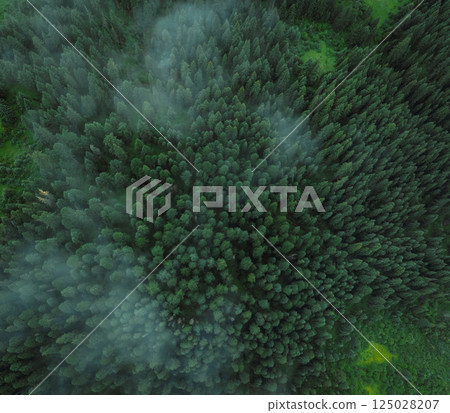 Aerial view of forest and grassland landscape in fog and rain 125028207