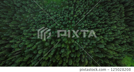 Aerial view of forest and grassland landscape in fog and rain 125028208