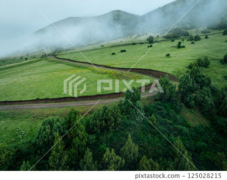Aerial view of forest and grassland landscape in fog and rain 125028215