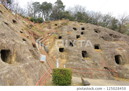 Yoshimi Hundred Saitama Prefecture 125028450