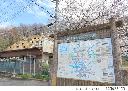 Yoshimi百埼玉縣 Yoshimi百埼玉縣 125028453