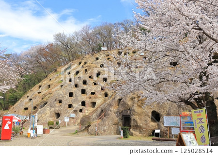 Yoshimi百埼玉縣 Yoshimi百埼玉縣 125028514