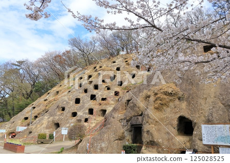 Yoshimi Hundred Saitama Prefecture 125028525