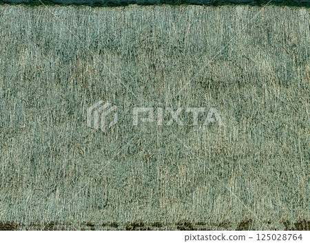 Texture of a thatched roof creating a rustic and organic background Texture of a thatched roof creating a rustic and organic background 125028764