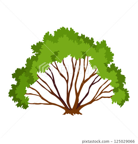 Kind of bush icon. Deciduous plant. Green crowns and lush foliage with natural brown trunks and branches. Vector cartoon illustration Kind of bush icon. Deciduous plant. Green crowns and lush foliage with natural brown trunks and branches. Vector cartoon illustration 125029066