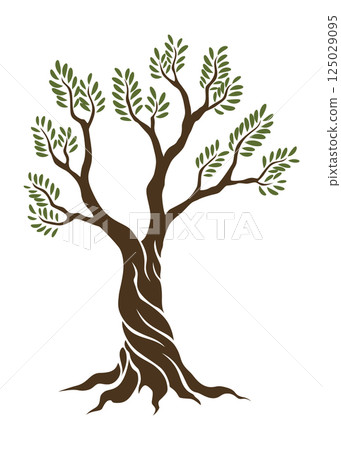 Olive trees with branches and leaves for design of packaging, label, logotype or banner. Natural organic stylized olive icon, premium quality sign. Vector illustration Olive trees with branches and leaves for design of packaging, label, logotype or banner. Natural organic stylized olive icon, premium quality sign. Vector illustration 125029095