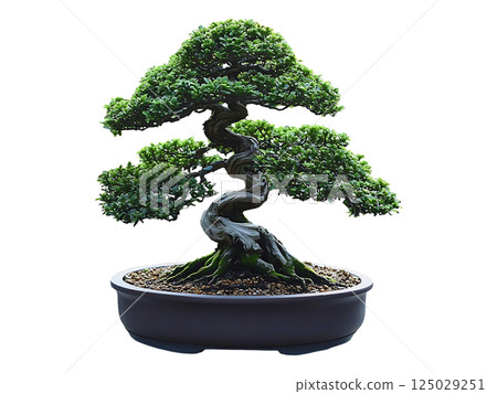 Serene bonsai tree in a contemplative garden setting. The intricate, aged trunk and lush green foliage create a powerful image of resilience, patience, and tranquility. Serene bonsai tree in a contemplative garden setting. The intricate, aged trunk and lush green foliage create a powerful image of resilience, patience, and tranquility. 125029251