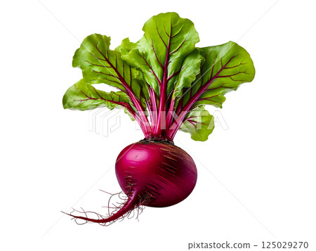 Vibrant red beet with lush green leaves, isolated on white.  Perfect for culinary, health, and agricultural projects.  High-resolution image ideal for websites, magazines, and cookbooks. 125029270