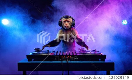funny monkey dj in action on the party 125029549