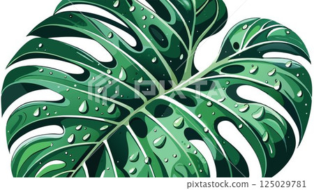 A close-up shot emphasizes the intricate details of Monstera leaves, each vein and texture highlighted by the scattered water droplets, creating a high-quality image perfect for botanical illustratio A close-up shot emphasizes the intricate details of Monstera leaves, each vein and texture highlighted by the scattered water droplets, creating a high-quality image perfect for botanical illustratio 125029781