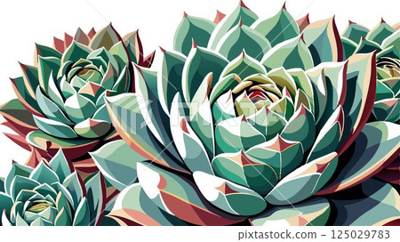 A detailed close-up of the geometrically arranged desert succulents highlights their individual textures and forms, creating a high-quality image perfect for botanical illustrations, interior design 125029783