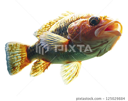 Vibrant orange fish swims in sunlit aquarium. Stunning underwater scene, perfect for nature, wildlife, or aquatic themes. Use for websites, brochures, or magazine layouts. Vibrant orange fish swims in sunlit aquarium. Stunning underwater scene, perfect for nature, wildlife, or aquatic themes. Use for websites, brochures, or magazine layouts. 125029884