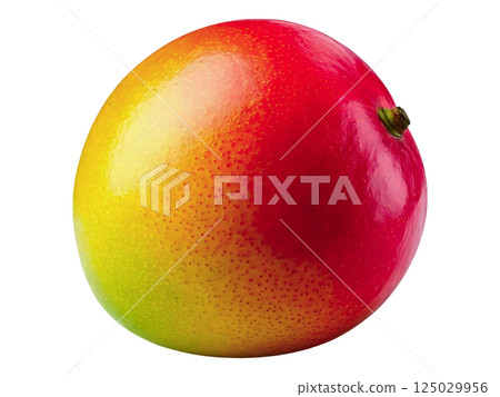 Vibrant single mango, showcasing its rich red, yellow, and green hues.  Perfect for food blogs, recipe websites, or healthy eating campaigns. High-resolution image with a clean white background. 125029956
