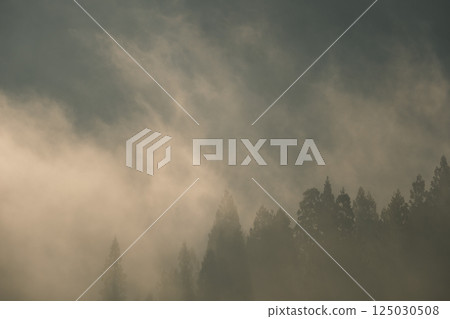 朦朧日出 125030508