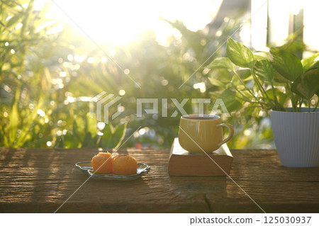 Toddy Palm Cake desserts and tea cup, cozy garden view Toddy Palm Cake desserts and tea cup, cozy garden view 125030937