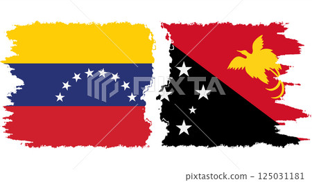 Papua New Guinea and Venezuela grunge flags connection vector 125031181