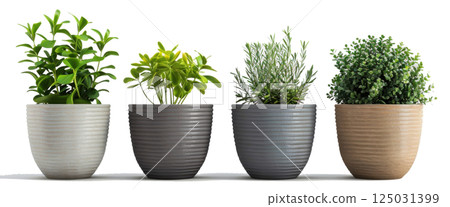 Modern Minimalist Planters with Green Plants 125031399