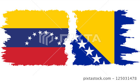 Bosnia and Herzegovina and Venezuela grunge flags connection vector Bosnia and Herzegovina and Venezuela grunge flags connection vector 125031478