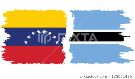 Botswana and Venezuela grunge flags connection vector Botswana and Venezuela grunge flags connection vector 125031480