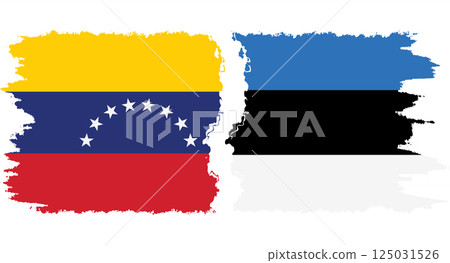 Estonia and Venezuela grunge flags connection vector 125031526