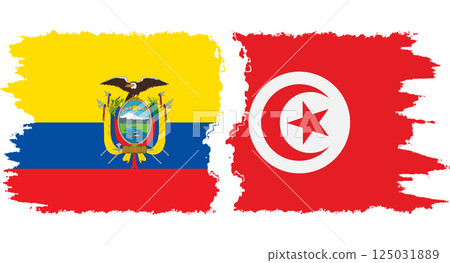 Tunisia and Ecuador grunge flags connection vector 125031889